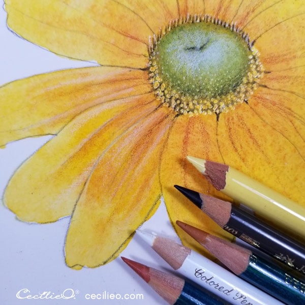 How to Watercolor a Realistic, Radiant Prairie Sunflower