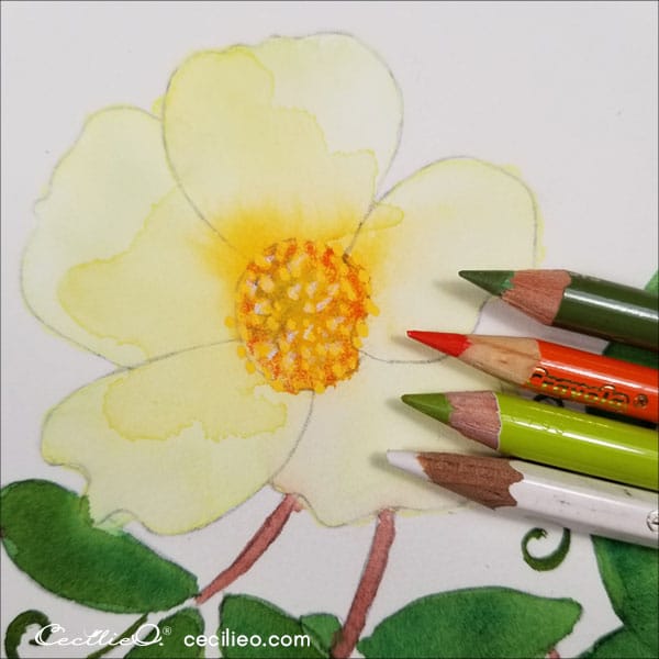 Colored pencils for the flower centre