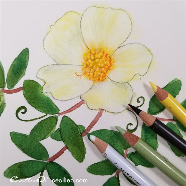 Colored pencils for the petals