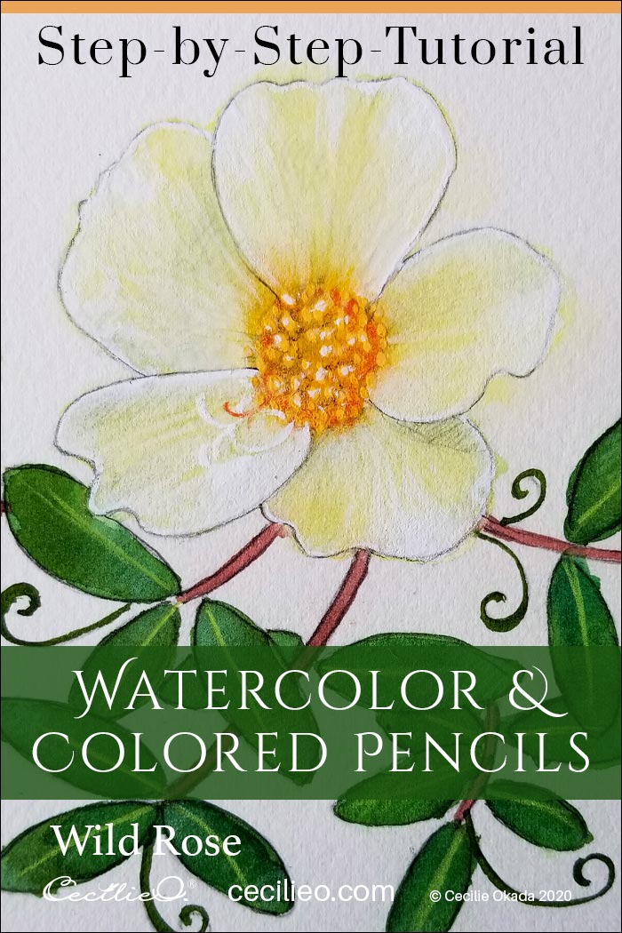 A Breezy, Beautiful Wild Rose Watercolor Tutorial