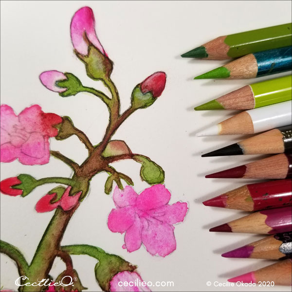 Refining the details with an assortment of pink, red and green colored pencils.