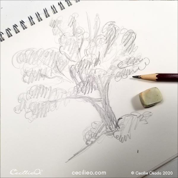 Rough sketch of the tree.