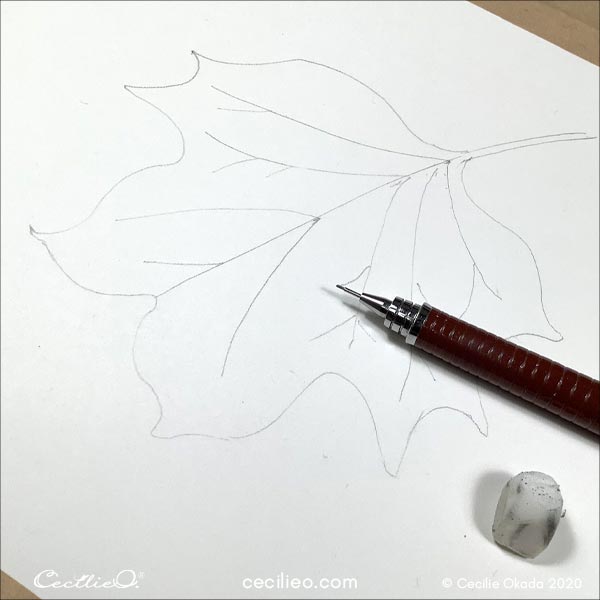 Drawing the leaf.