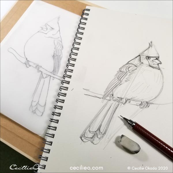 Sketching the cardinal and transferring onto watercolor paper.