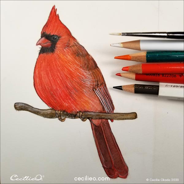 Continue drawing with colored pencils on top of the paint. 