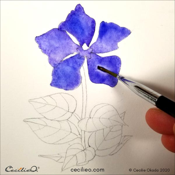 Painting blue watercolor on the petals.