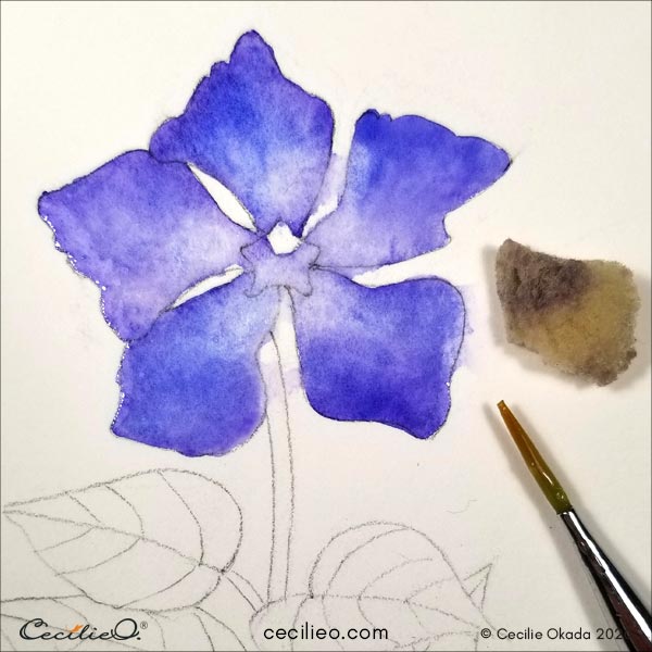 Soaking up blue watercolor with a sponge in the center of the flower.