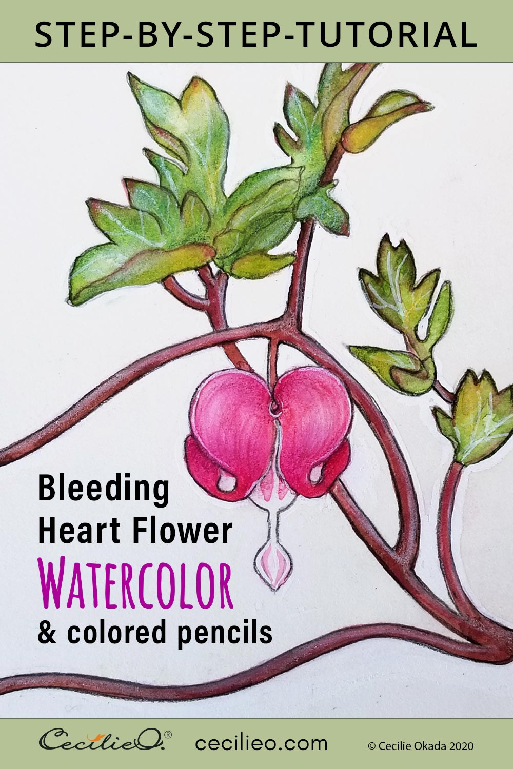 How to Paint a Gorgeous Watercolor Bleeding Heart Flower  Post feature image