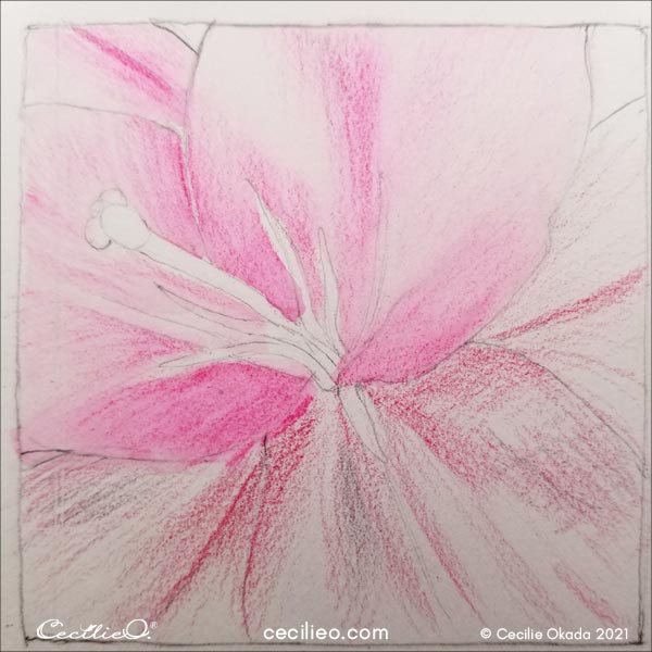 New test, drawing the petals with a darker pink.