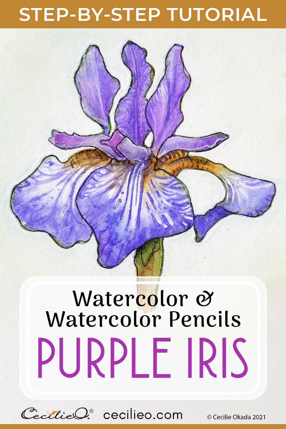 How to Paint a Purple Watercolor Iris Flower