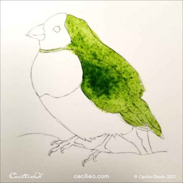 Watercolor green for the wing and part of the bird's body.