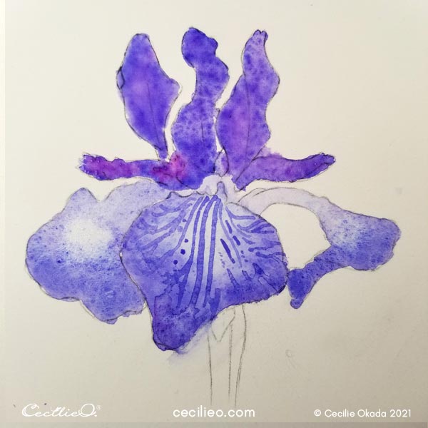 Watercolor the full flower head with purple color.