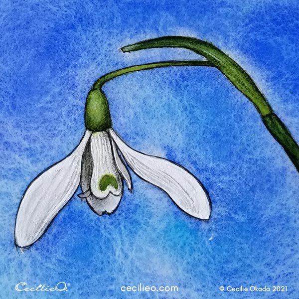 The finished watercolor spring flower snowdrop.