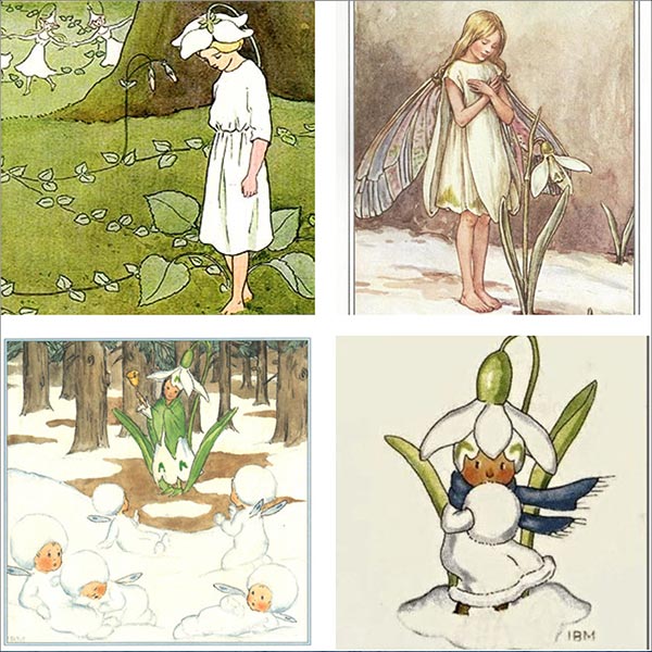 Vintage illustrations with snowdrop.