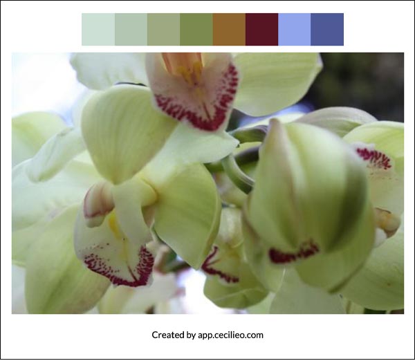 Flower color palette 5