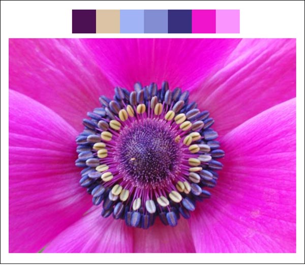 Flower color palette 3