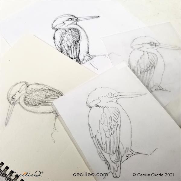 Drawing of kingfisher.