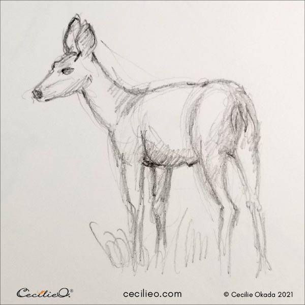 Deer sketch.