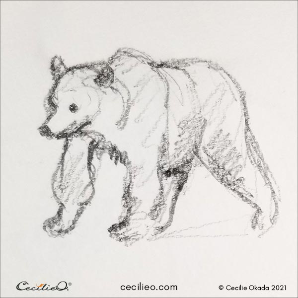 Bear sketch.