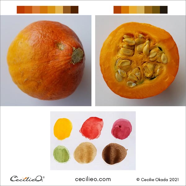 Finding the color palette for the pumpkin reference photos. 