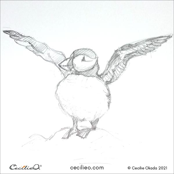 Puffin sketch