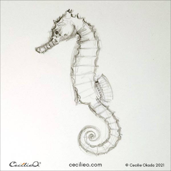 Seahorse sketch