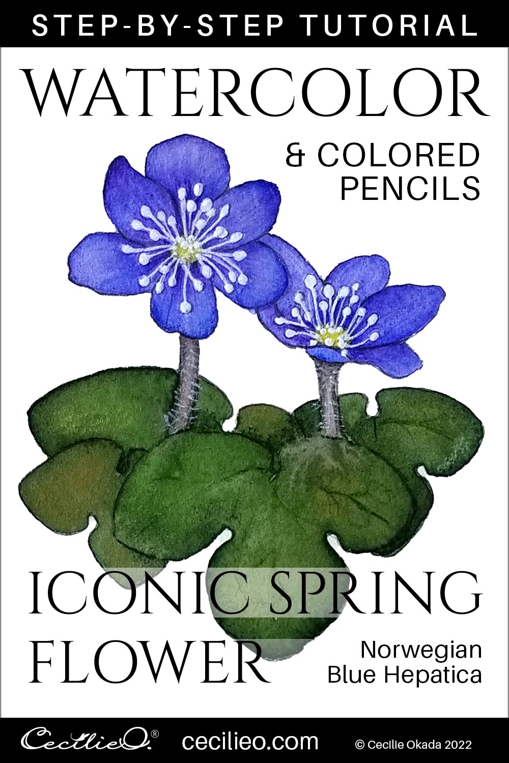 How to Watercolor an Iconic Spring Flower  Post feature image