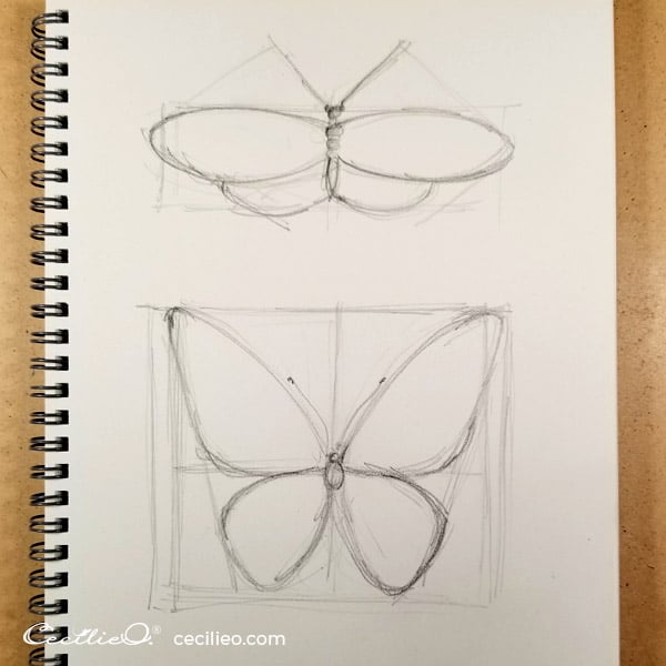 Butterfly sketches