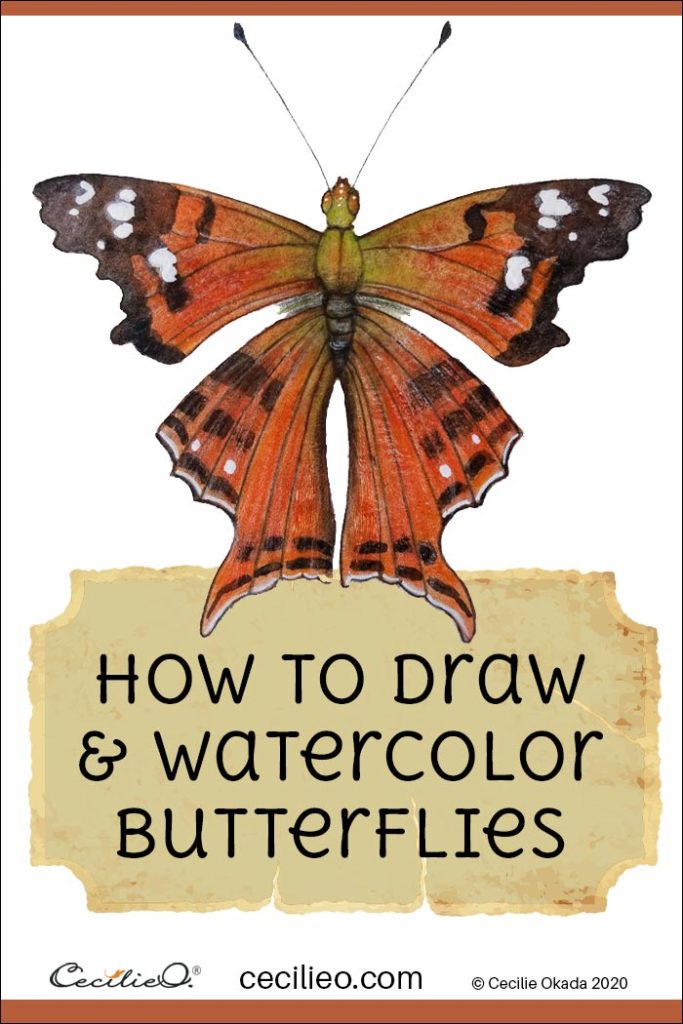 How to Draw & Watercolor Butterflies Step by Step: 4 Colorful Butterflies
