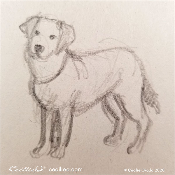 Dog sketch.