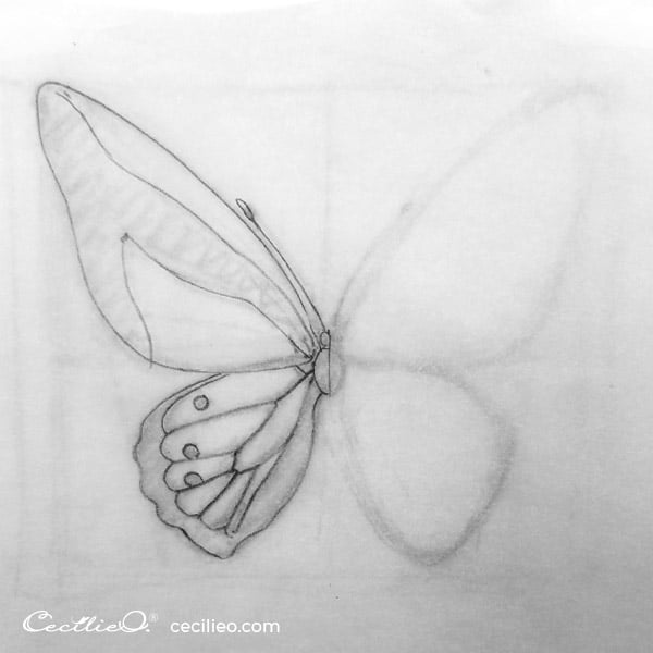 Butterfly Drawing for Kids | A Step-by-Step Tutorial for Kids