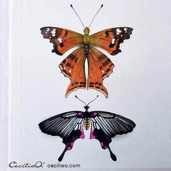 Hand Drawn Butterfly Vector & Photo (Free Trial) | Bigstock