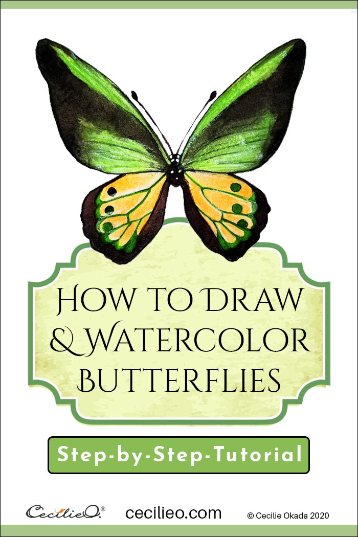 How to draw and watercolor butterflies. Step by step tutorial by Cecilie Okada.