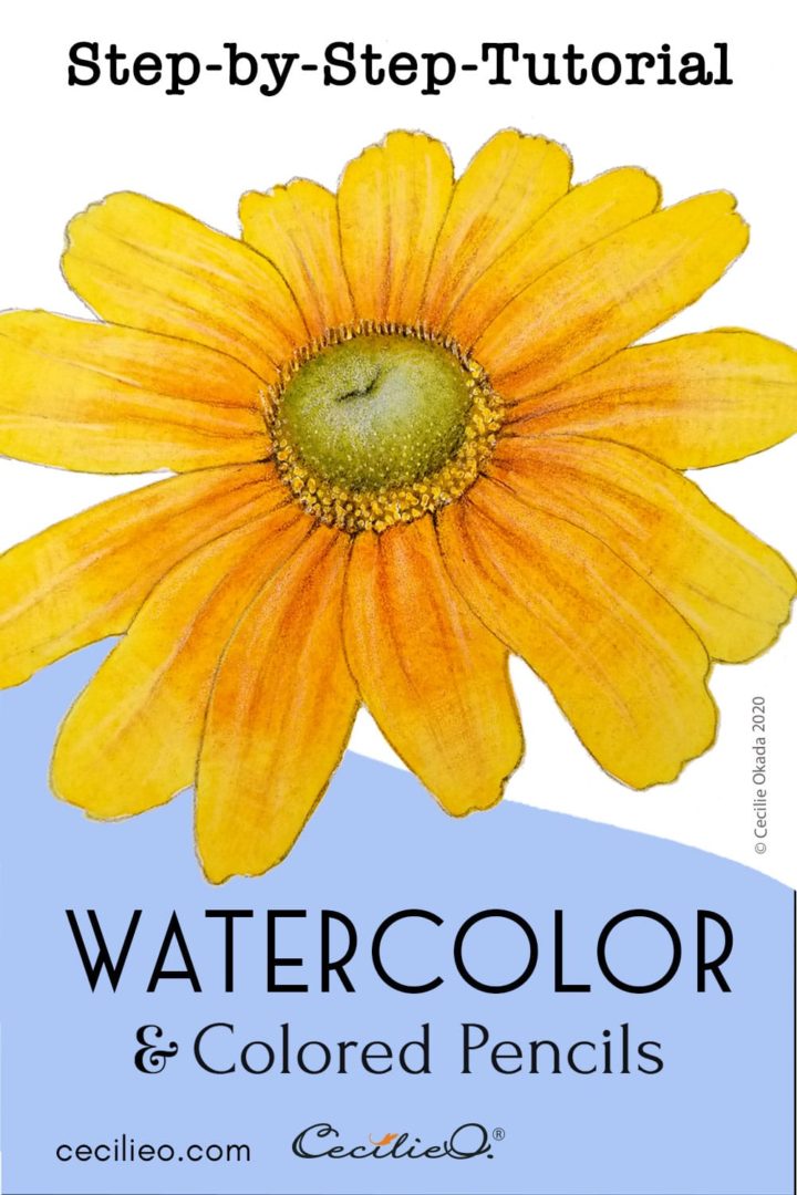 How to Watercolor a Realistic, Radiant Prairie Sunflower