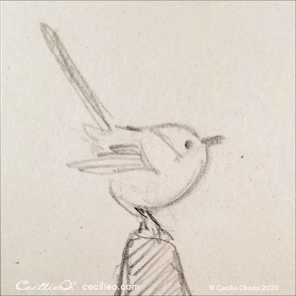 Little bird sketch