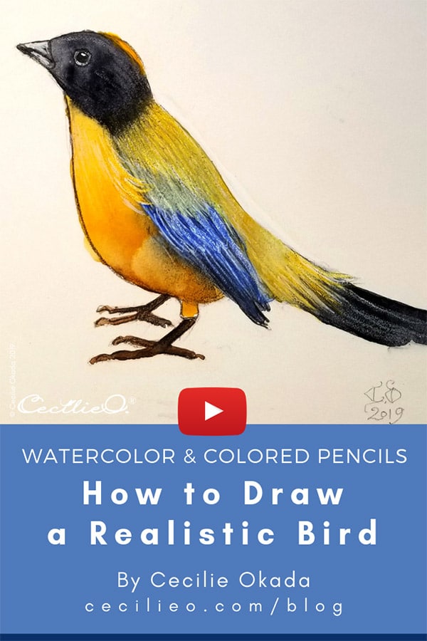 How to Draw and Watercolor a Realistic Bird