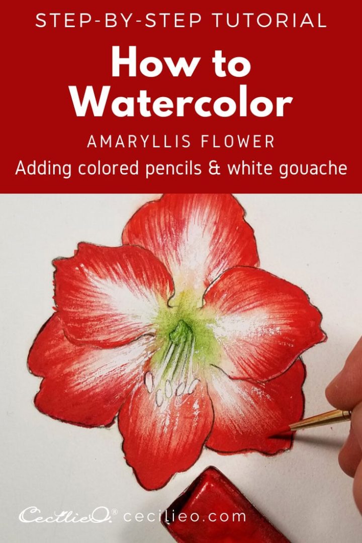 How To Watercolor An Amaryllis Flower