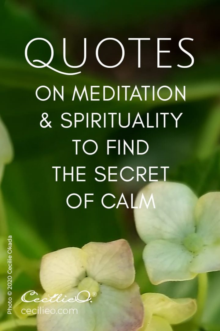 Quotes on Meditation & Spirituality to Find the Secret of Calm