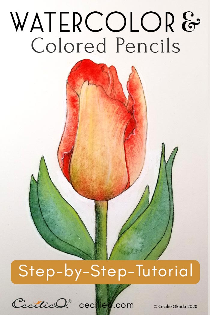 How to Watercolor Tulips and Retouching with Colored Pencils