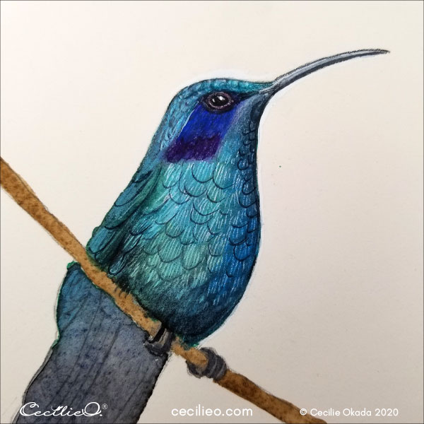Colorful Hummingbird Vector PNG Images, Color Lineart Hummingbird  Decorative Pattern, Bird Drawing, Rat Drawing, Hummingbird Drawing PNG  Image For Free Download