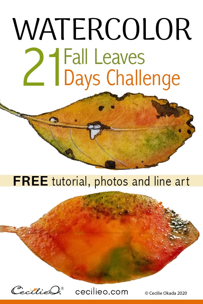 Looking for an easy watercolor project? Art challenge & tutorial with watercolor leaves in brilliant fall colors. 21 free photos and 21 line drawings to trace.