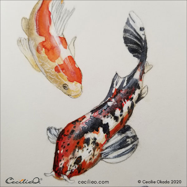 two koi fish drawings