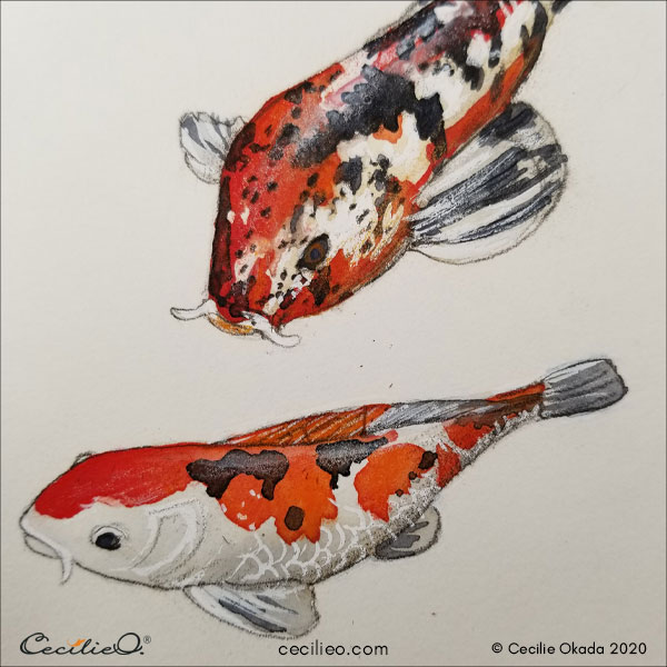 Colored Fish Clip Art Image - ClipSafari