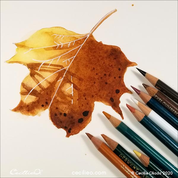 How to Watercolor Light and Shadow on a Magnificent Leaf - Cecilie ...