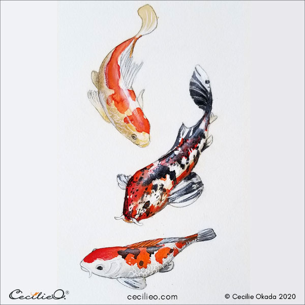 The finished watercolor painting of the three koi fish, enhanced with colored pencils.