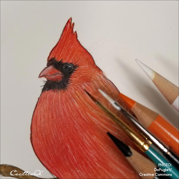 Combining watercolors and pencils to create the eye.