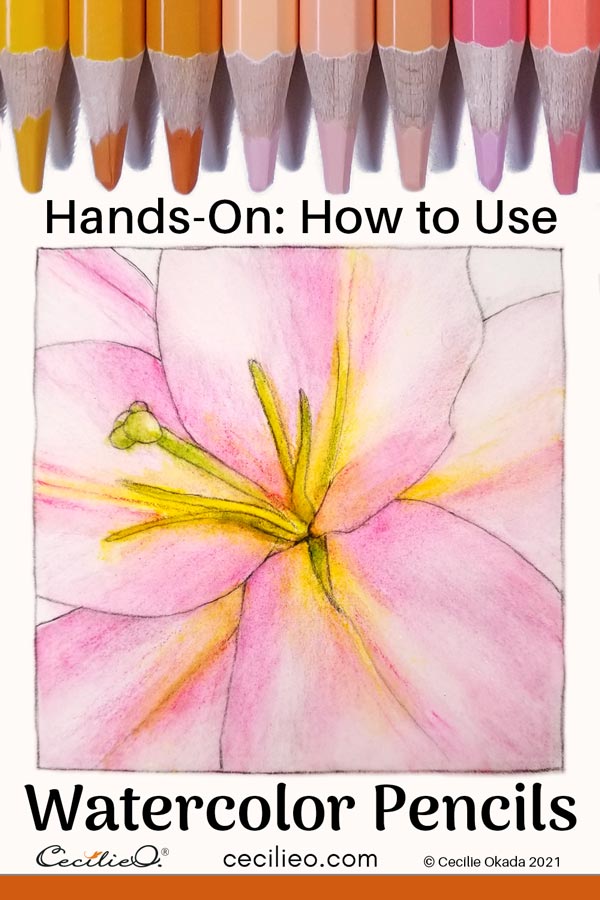 Hands-on: How to Use Watercolor Pencils - Cecilie Okada Design