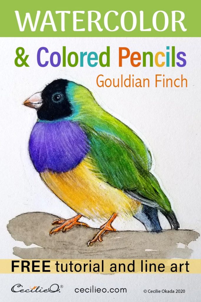 How to Watercolor a Realistic Bird: Colorful Finch