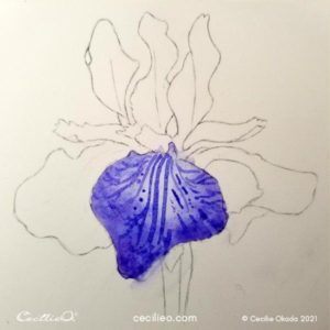 How to Paint a Purple Watercolor Iris Flower