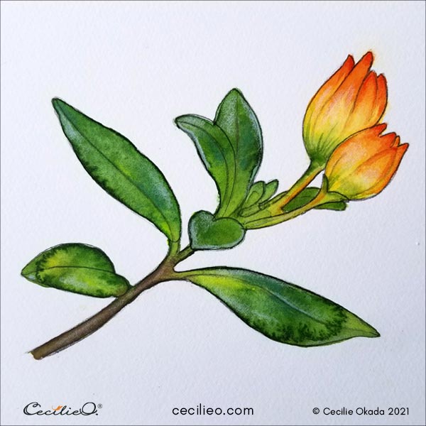 The watercolor for beginners tutorial is complete with a radiant flower.